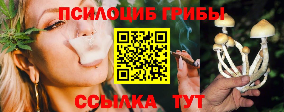 Псилоцибиновые грибы Cubensis  Вход с VPN  Одинцово 