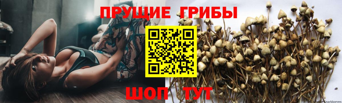 Галлюциногенные грибы Magic Shrooms Одинцово